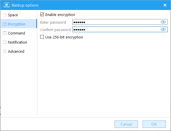 encryption in backup options