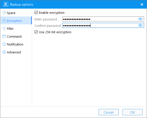 encryption in backup options