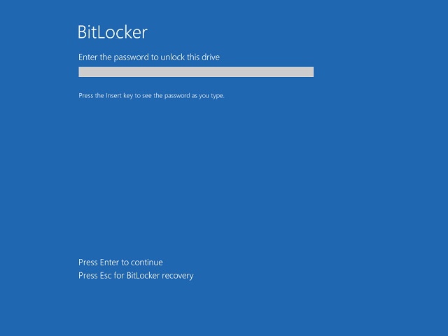 Enter BitLocker password to boot