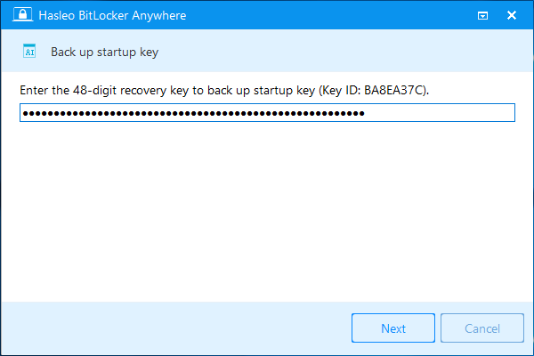 enter bitlocker recovery key to export startup key