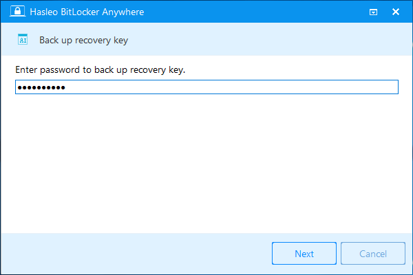 enter bitlocker password to export recovery key