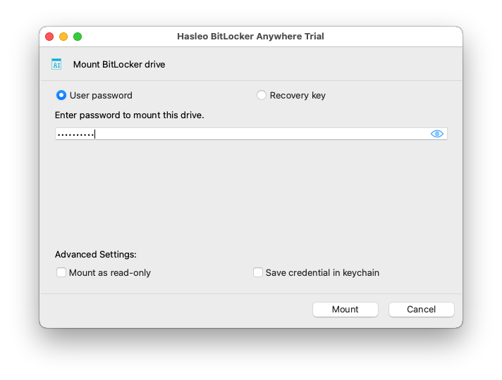 Enter BitLocker Password or BitLocker Recovery Key