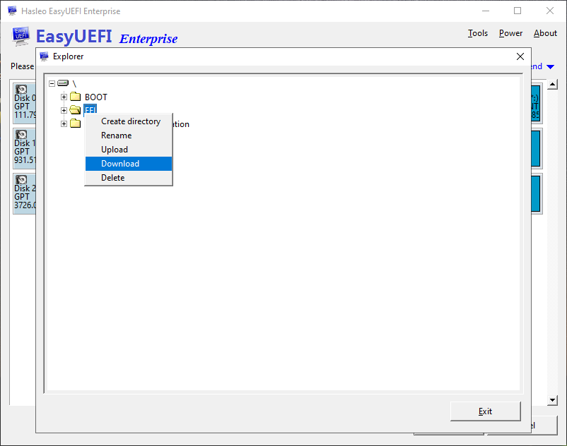 export files from EFI System Partition