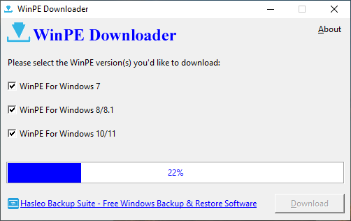 Downloading Windows PE